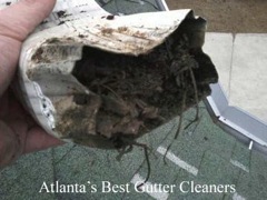Get Your Dirty Gutters Cleaned by Canton's Best Gutter Cleaners